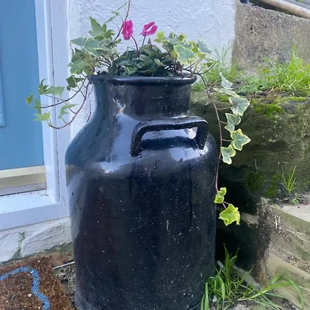 Feriehus Shrimp - 3 Bed Renovated With Stunning Sea Views Staithes