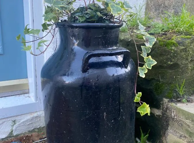 Holiday home Shrimp - 3 Bed Renovated With Stunning Sea Views Staithes